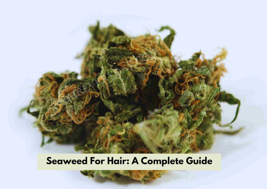 Seaweed for Hair