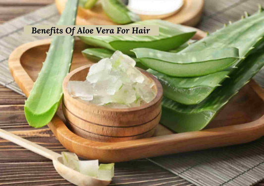 Aloe Vera For Hair