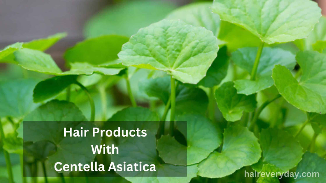 I Found 3 Amazing Hair Products With Centella Asiatica That You Have To Try!