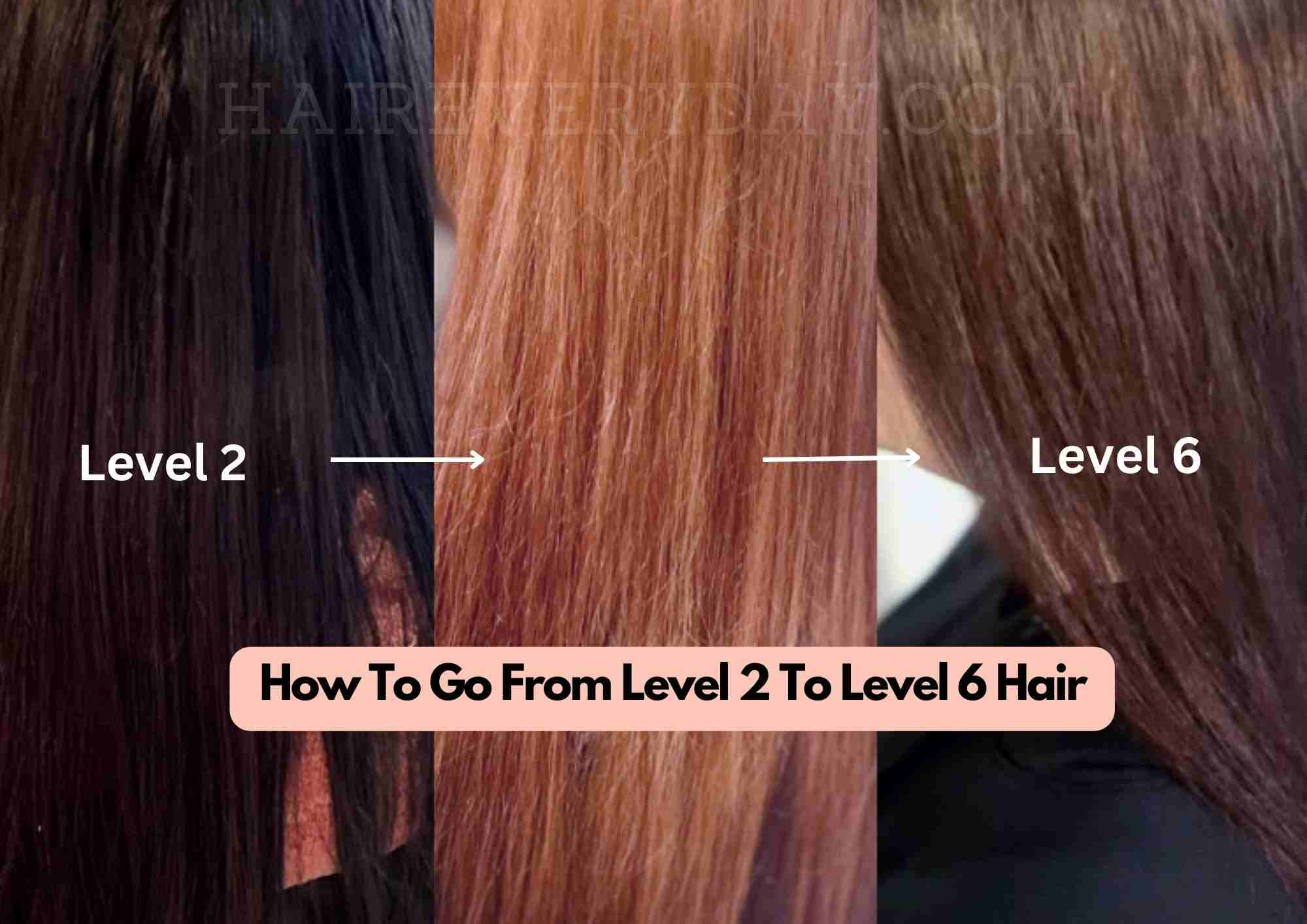 How To Go From Level 2 To Level 6 Hair | Bleaching Dark Hair To Light ...
