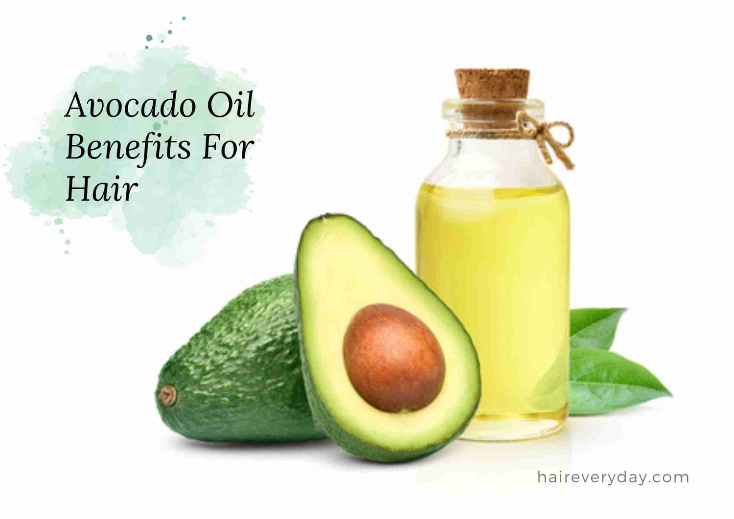 10 Best Avocado Oil Hair Serum - March 2025