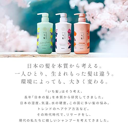 Kracie ICHIKAMI Dense W Moisturizing Care Conditioner 480ml