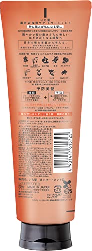 Kracie ICHIKAMI Dense W Moisturizing Care Treatment 230g